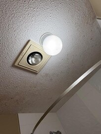 Black mold on ceilings in bathroom