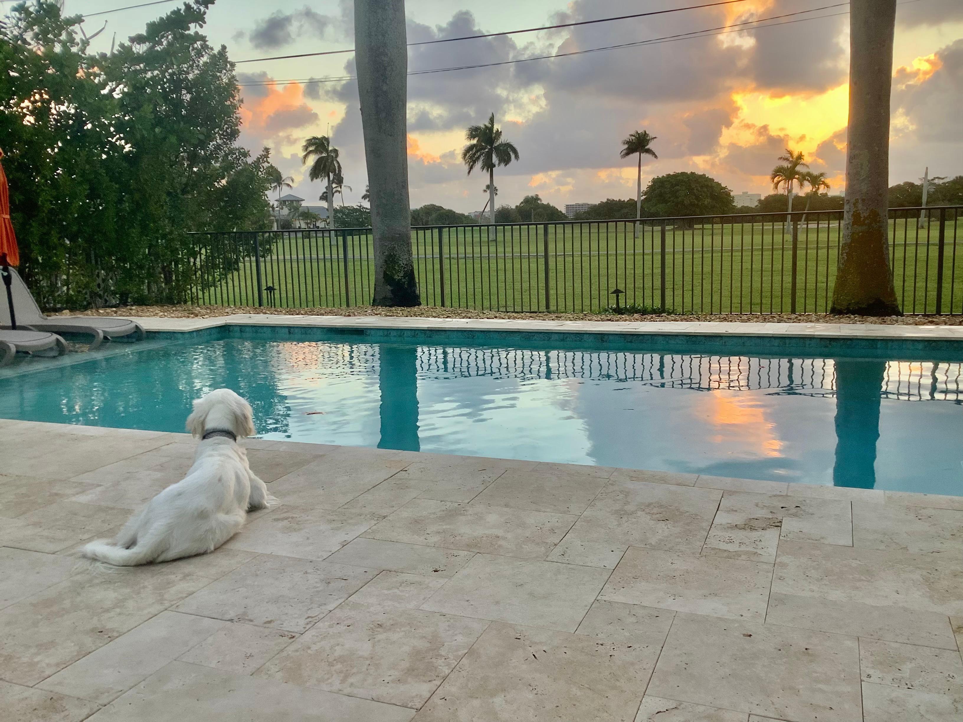 Warm weather and beautiful sunrise!