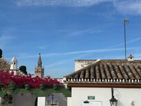 From the terrace.