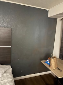 Paint chips