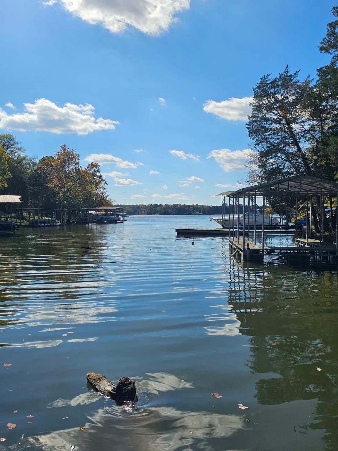 Beautiful view from the dock.