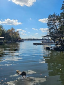 Beautiful view from the dock.