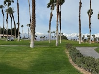 View from the patio