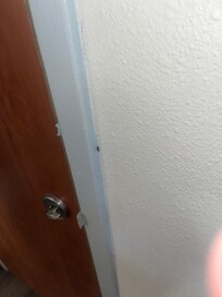 Bugs