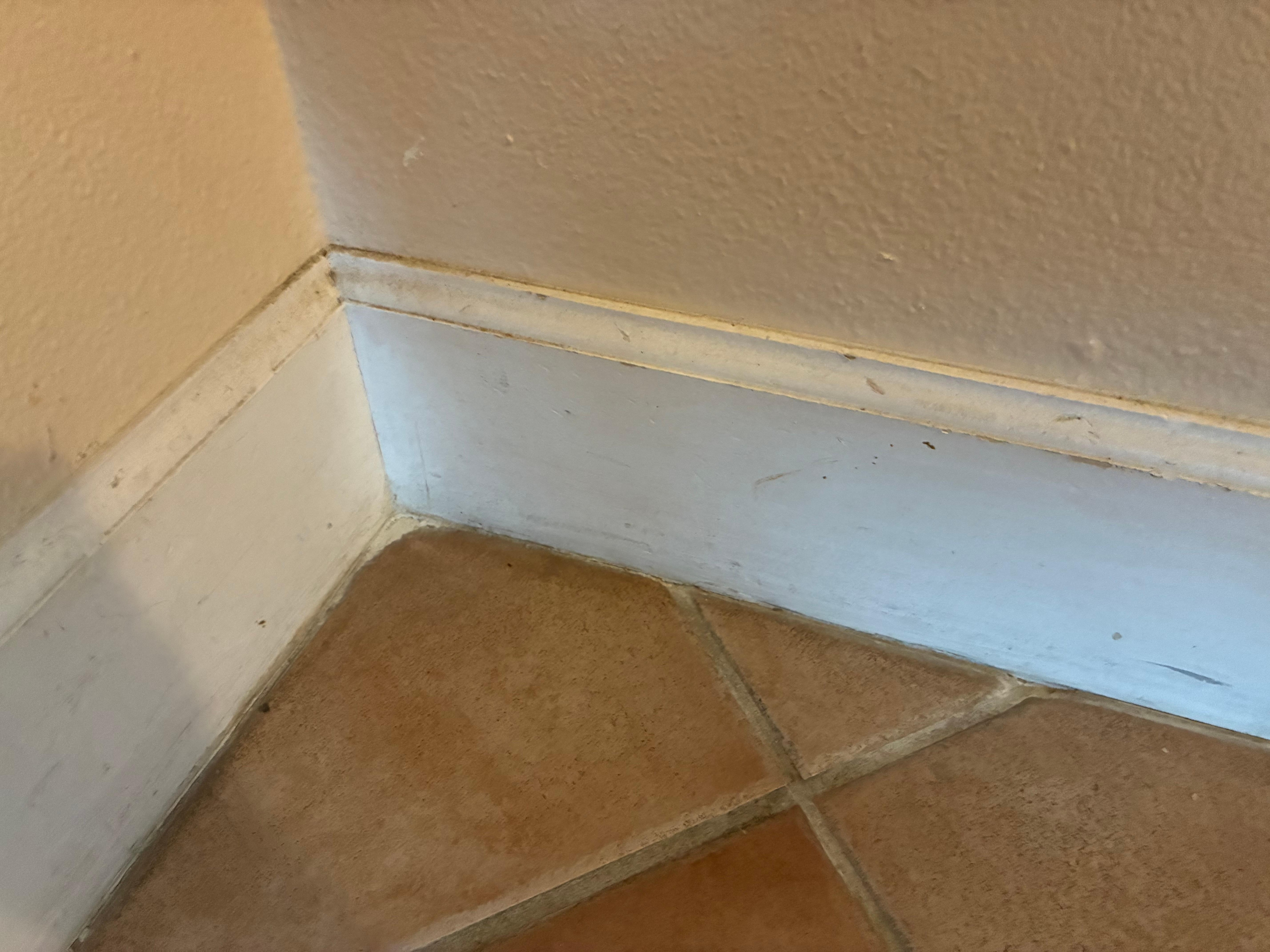 Scuffed walls and floorboards 