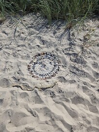 Kunst am Strand
