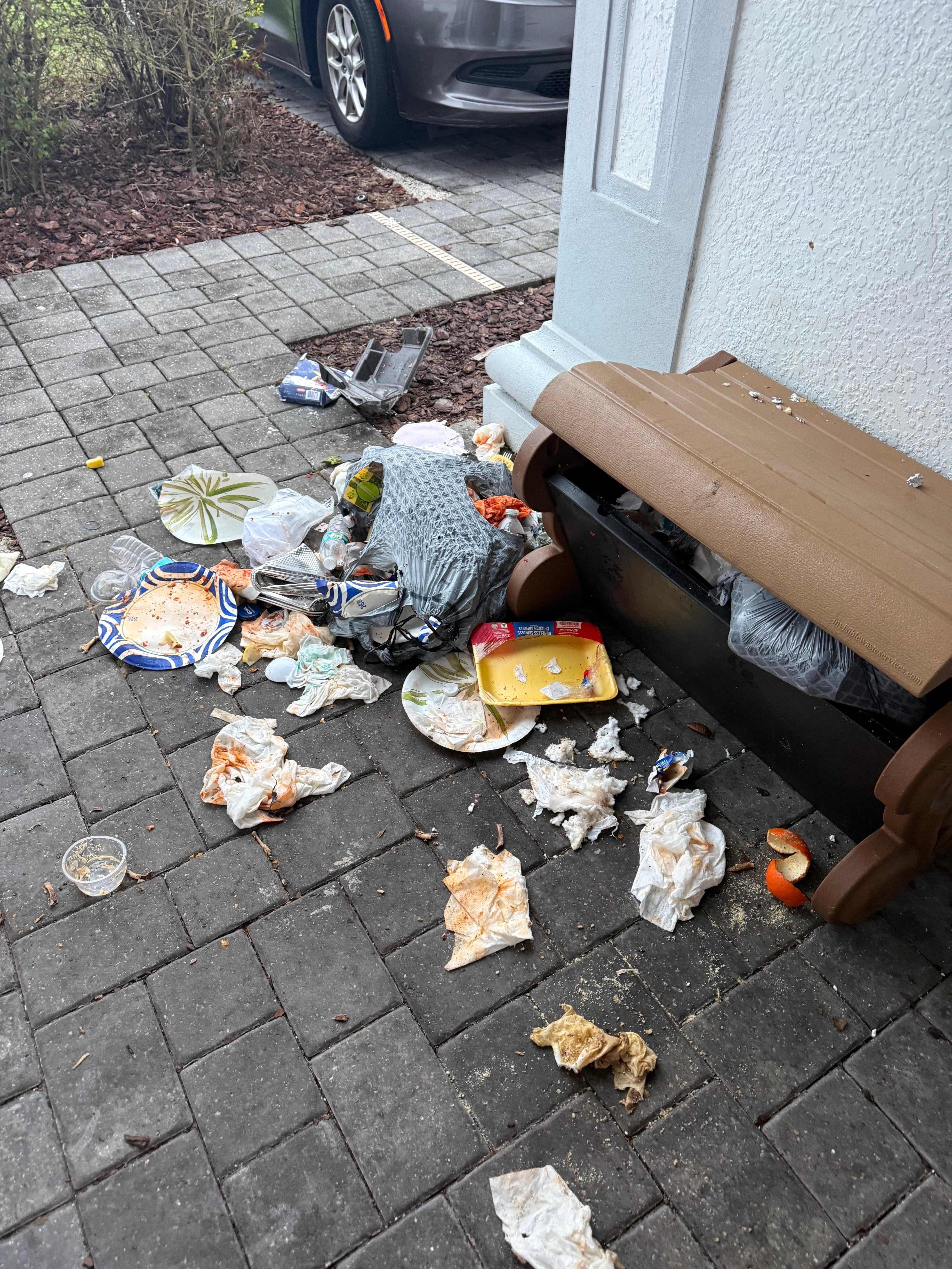 This is what the raccoons did all day everyday!