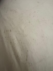 Mold as you can see