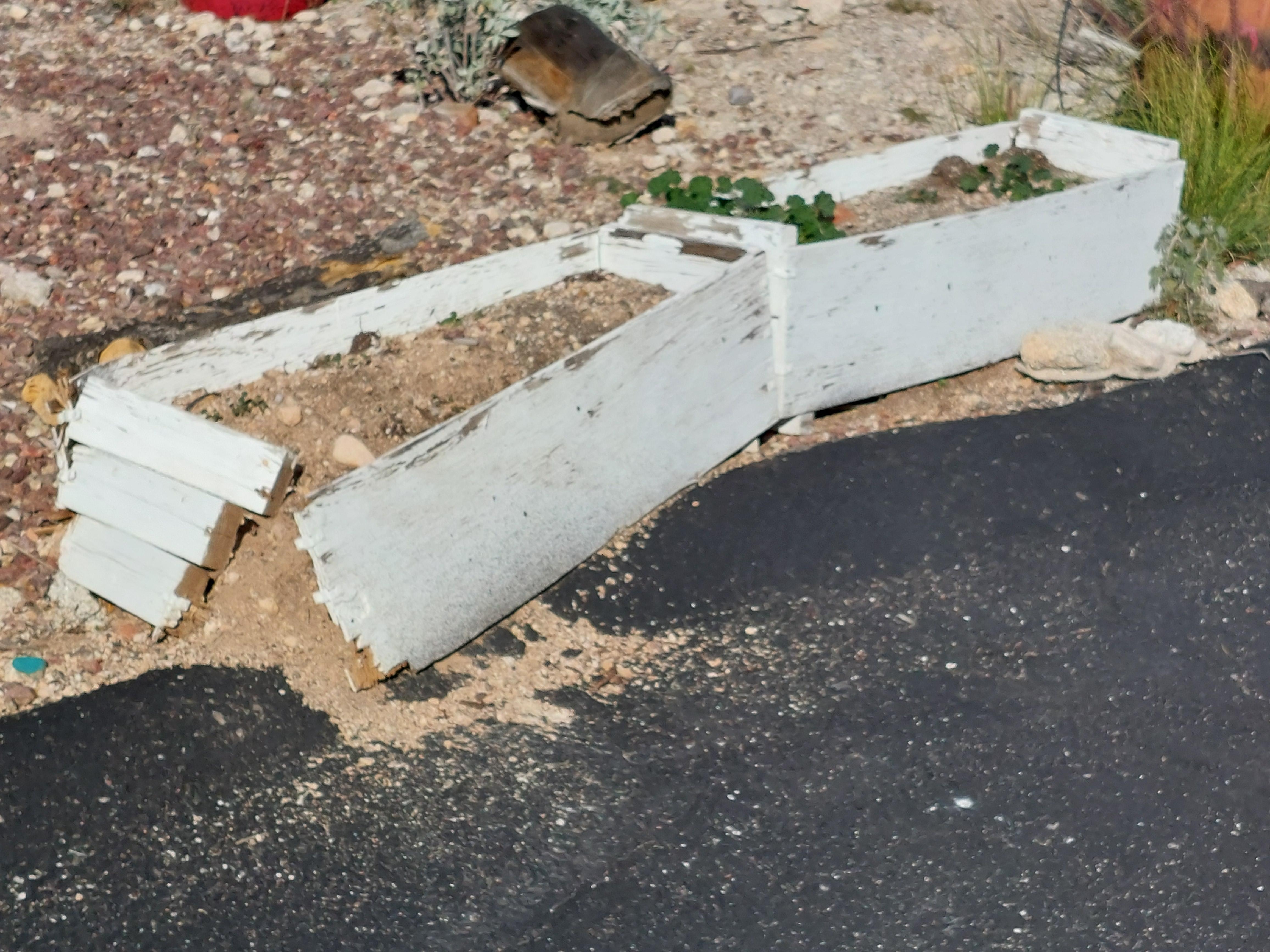 trash everywhere on the property