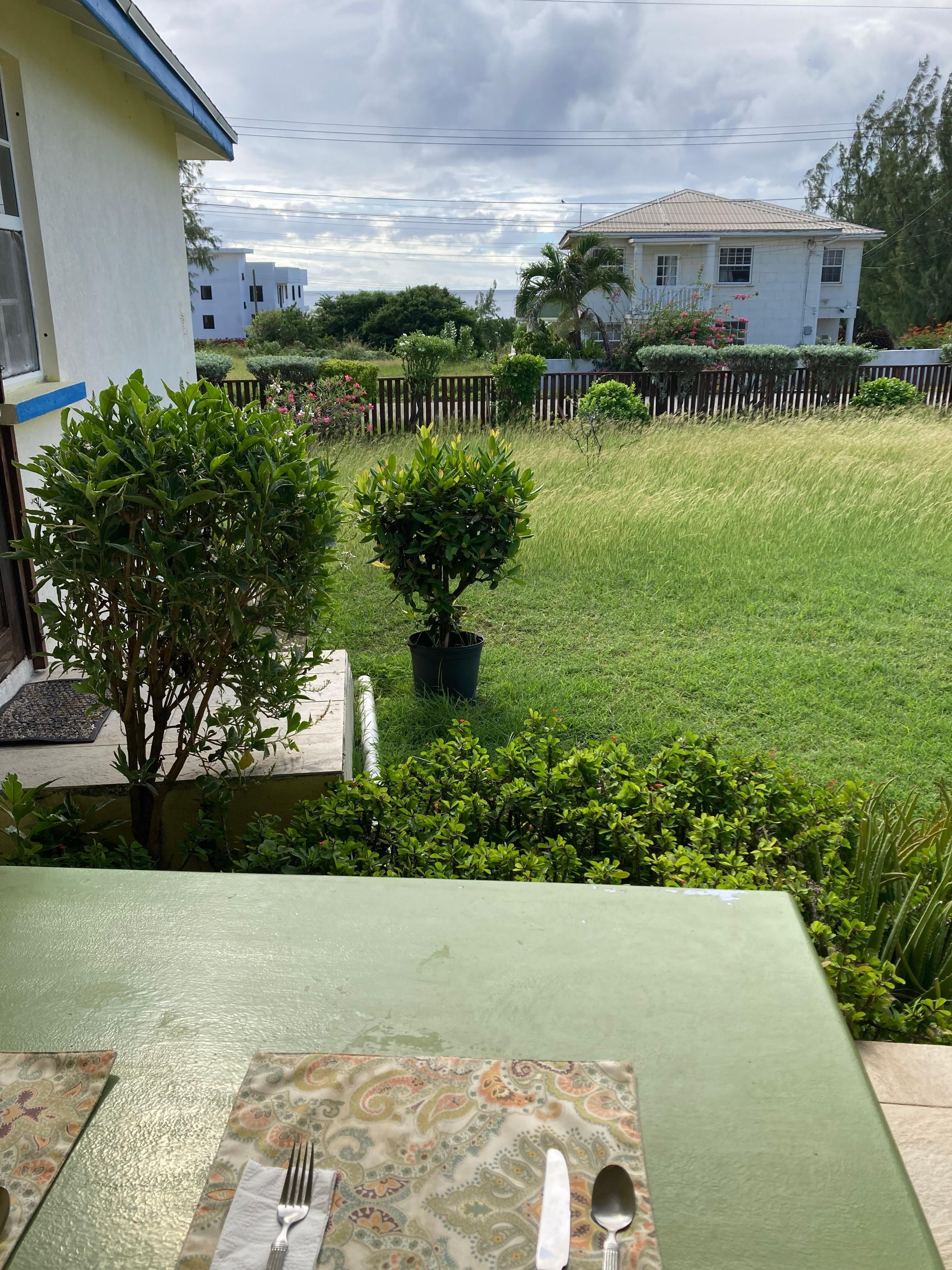 Beautiful view during breakfast