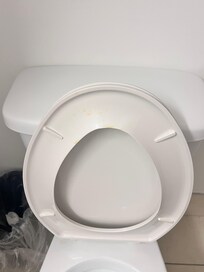 Dirty toilet seat with urine stains