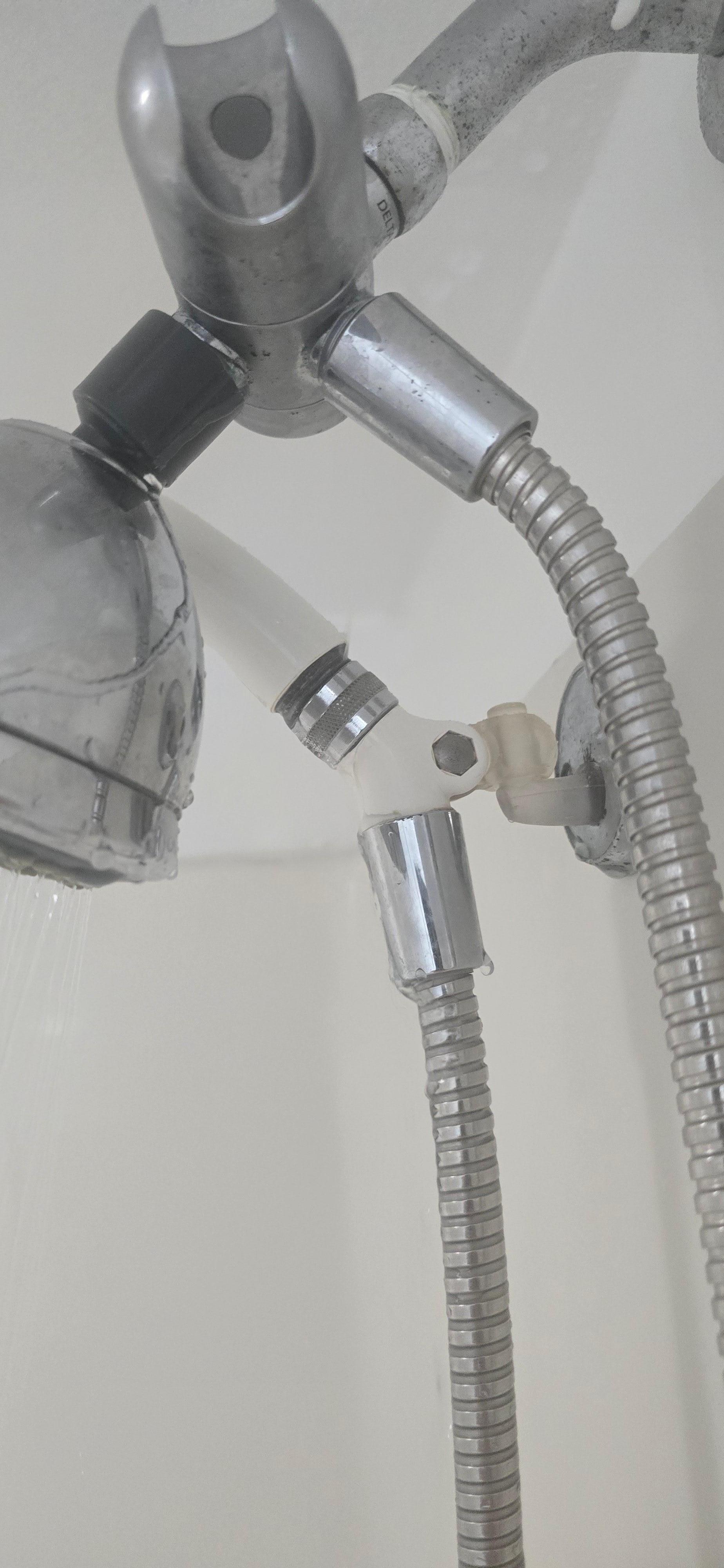 Water squatting everywhere 