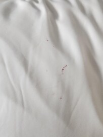 Blood stained pillow