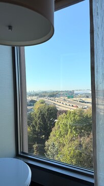 the view from the room