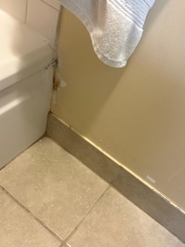 Chipped, peeling and rusted paint by bath tub (view every visit to the toilet!)