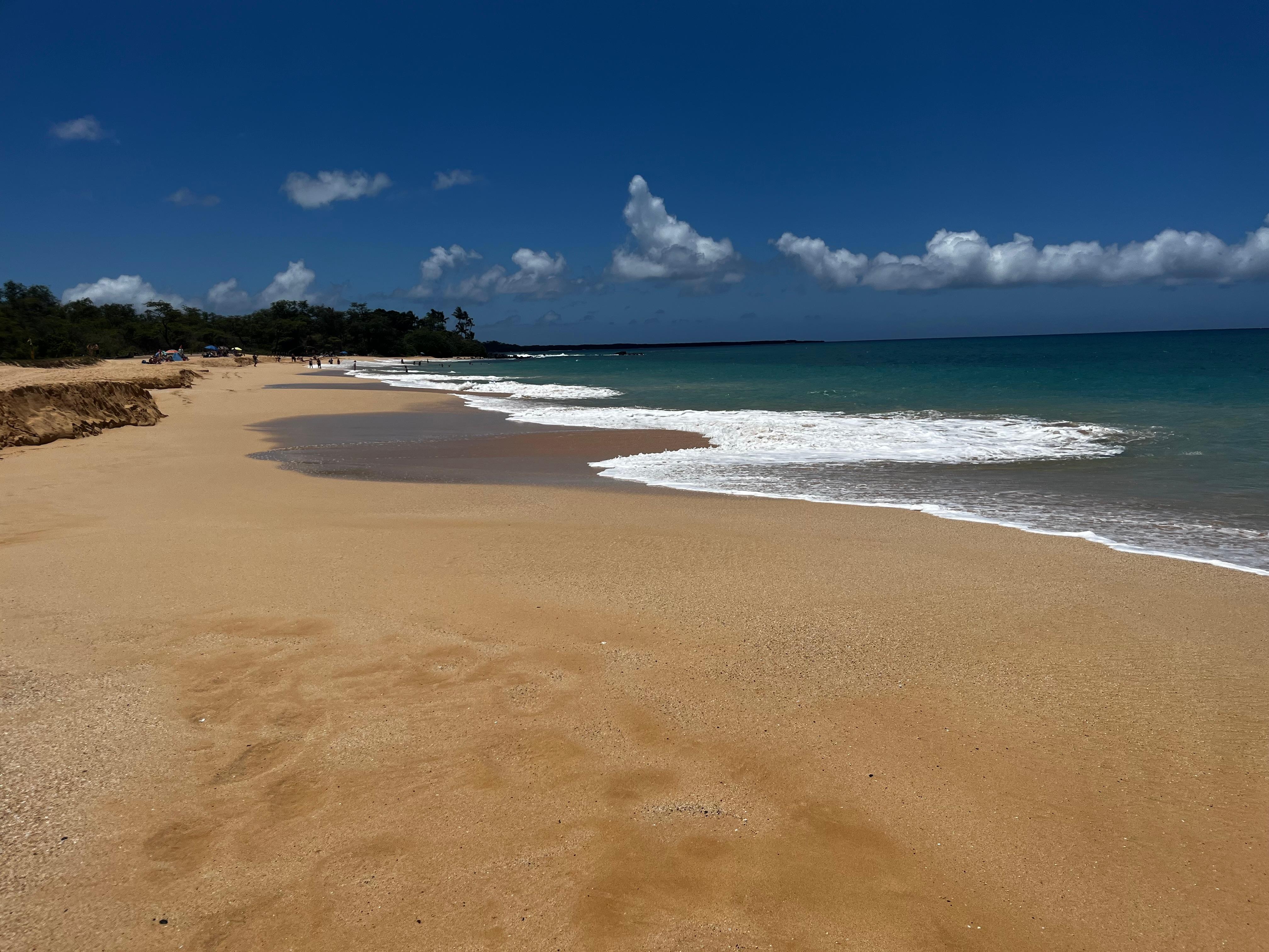 Beach in front of pool 