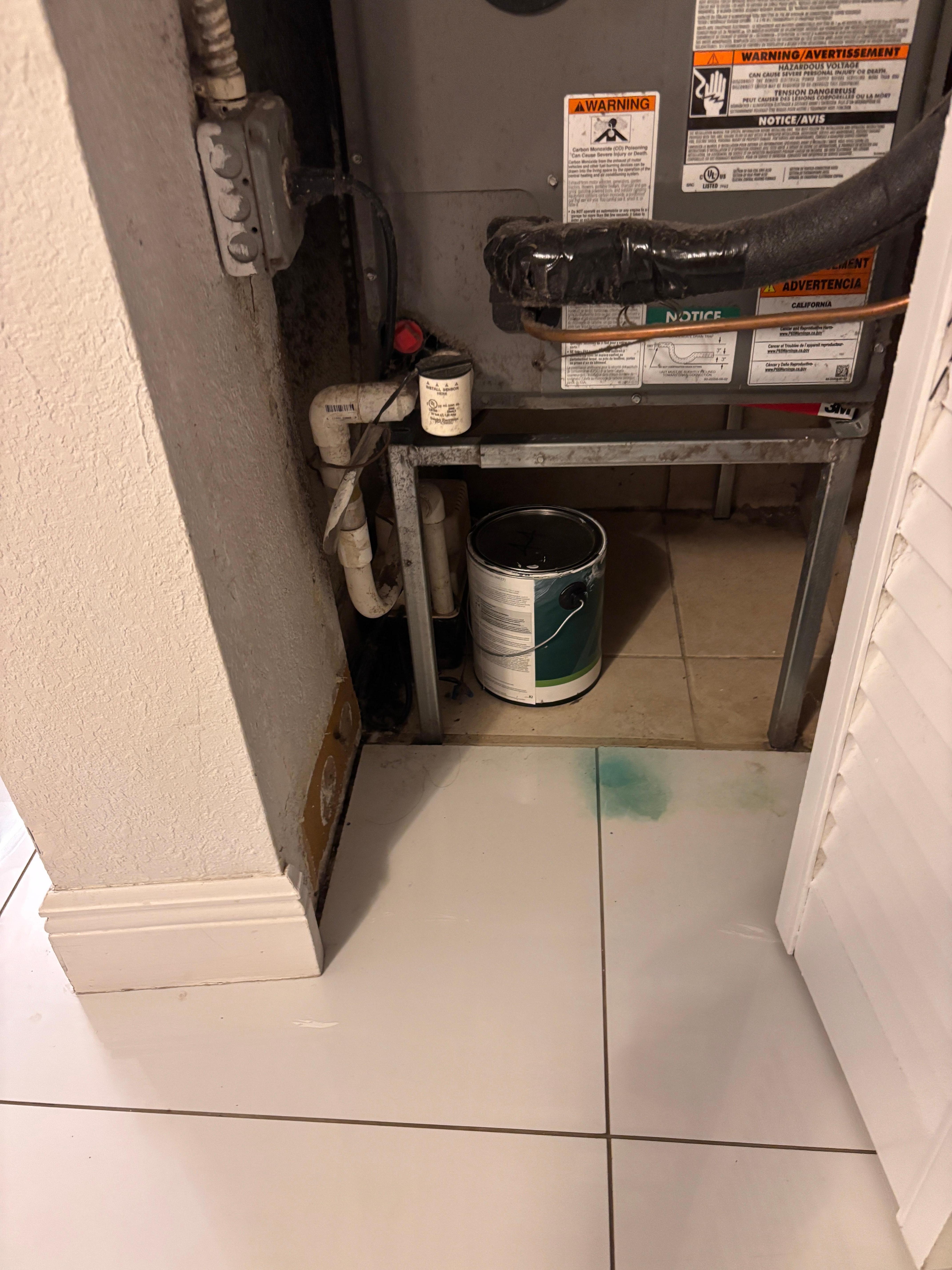 Paint stored under gas water heater. FIRE RISK! 