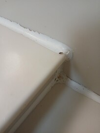 Roaches in the hotel room