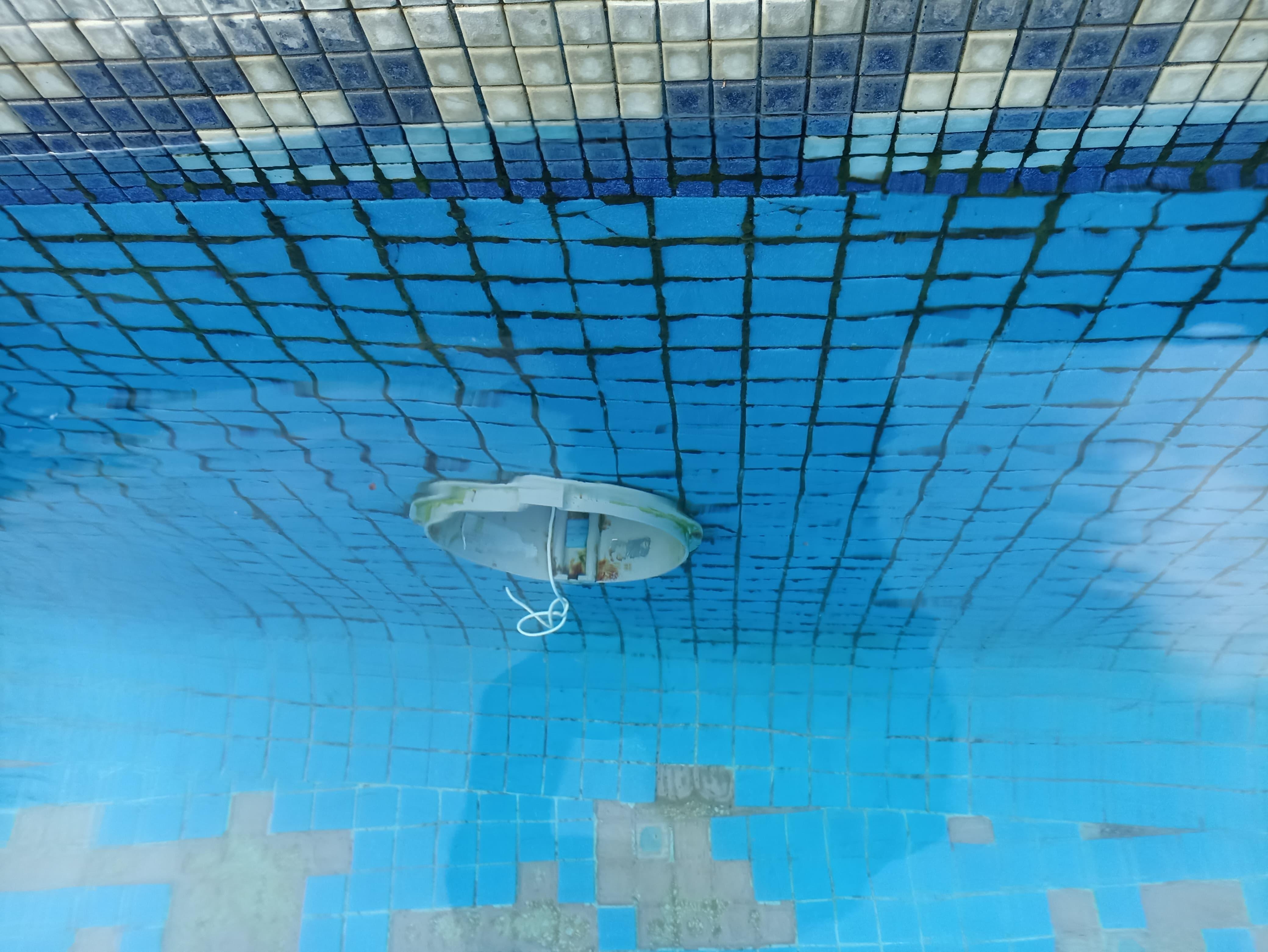 Esta es lo mas feo yo queriendo disfrutar la alberca al maximo y el musgo en las paredes de la alberca estaba por todas partes, faltando locetas en el piso de la alberca.