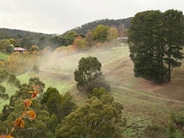 What a lovely way to wake up in the morning to catch the sunrise, watch the mist roll in and hear a cock crow from the another property over the hill.