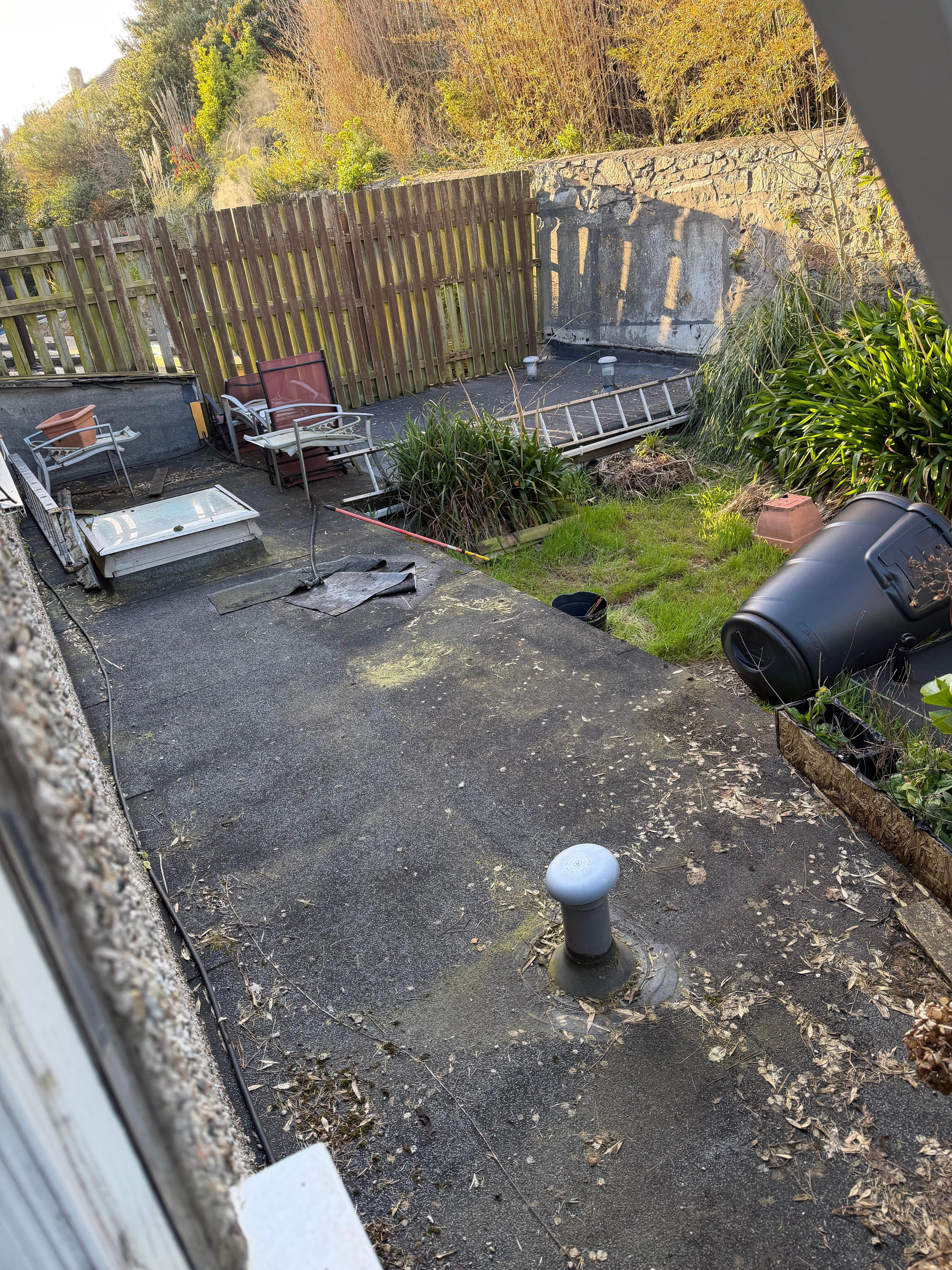 View from my room. Untidy backyard. 