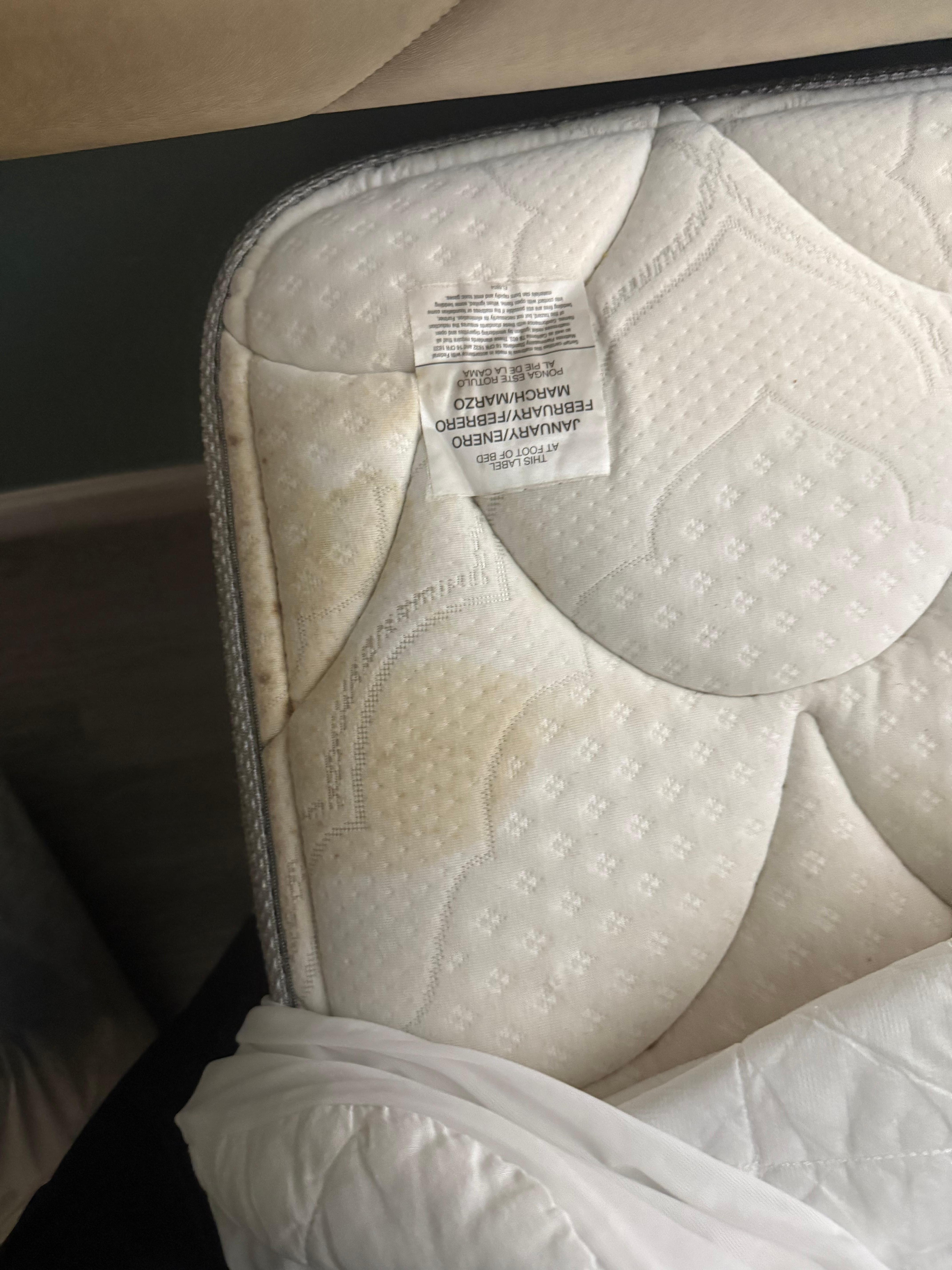 Stains that were smelly