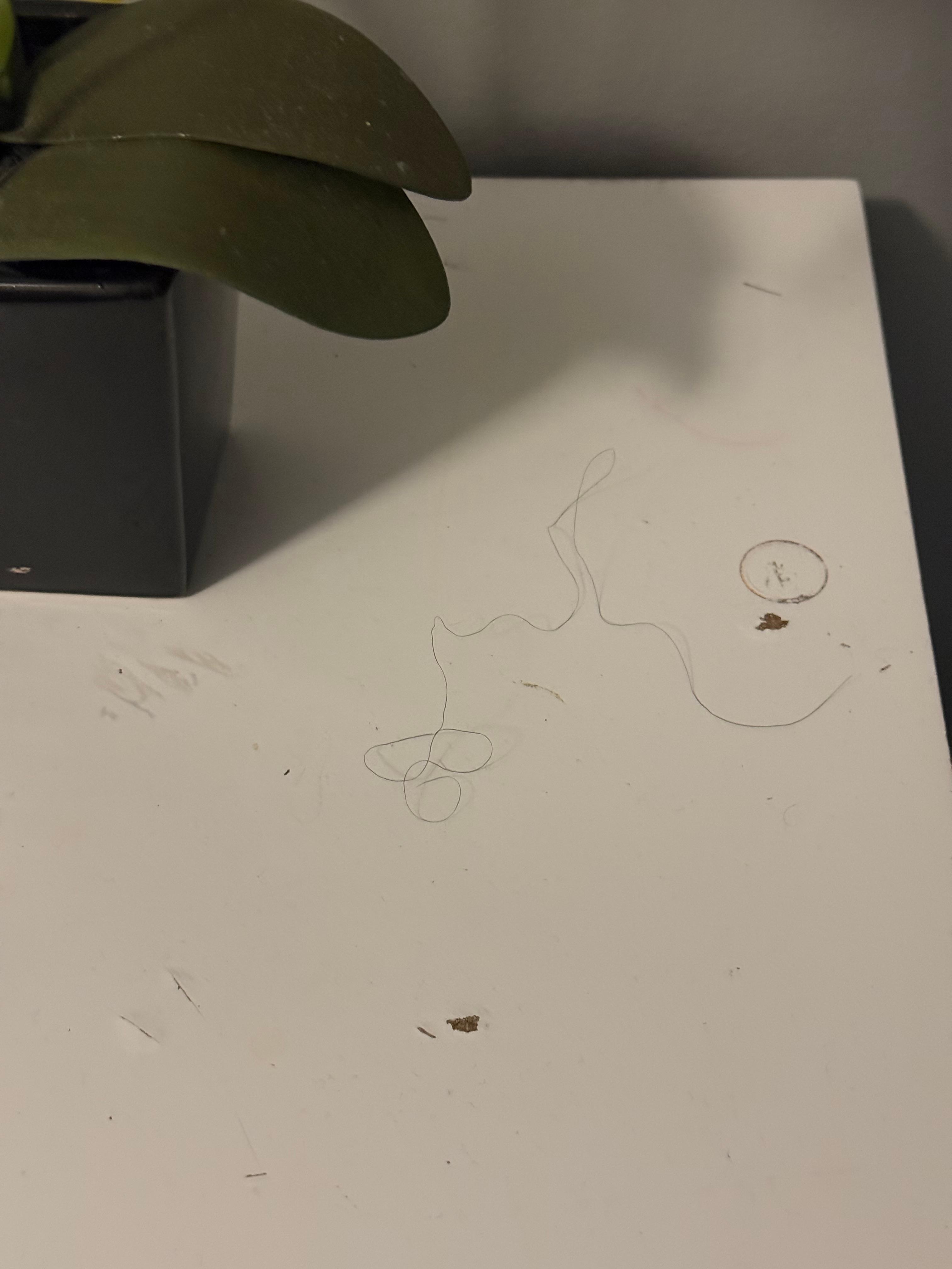 Hair in bathroom 