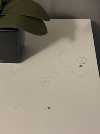 Hair in bathroom