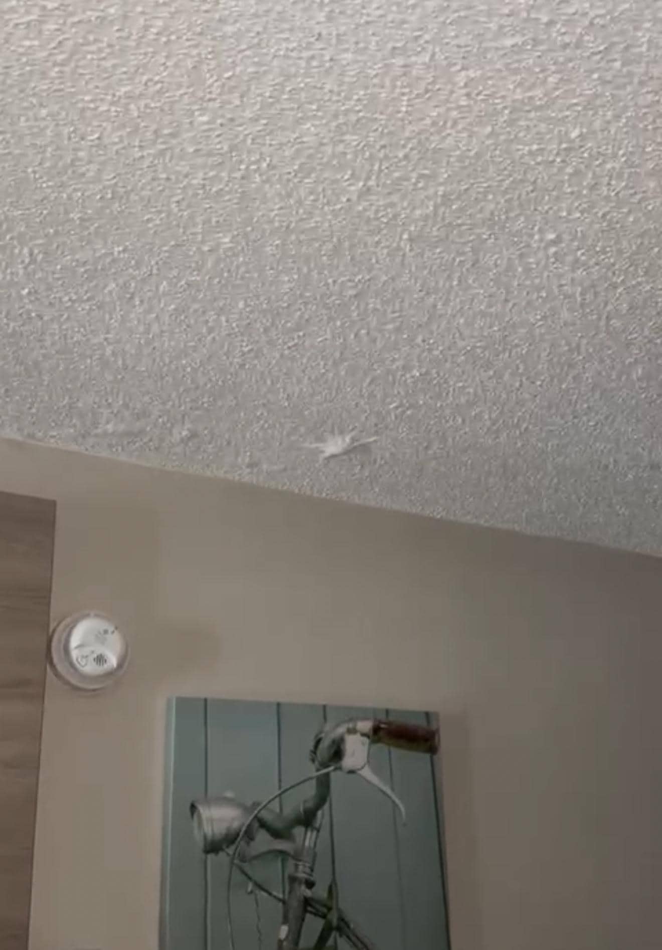 Water leak