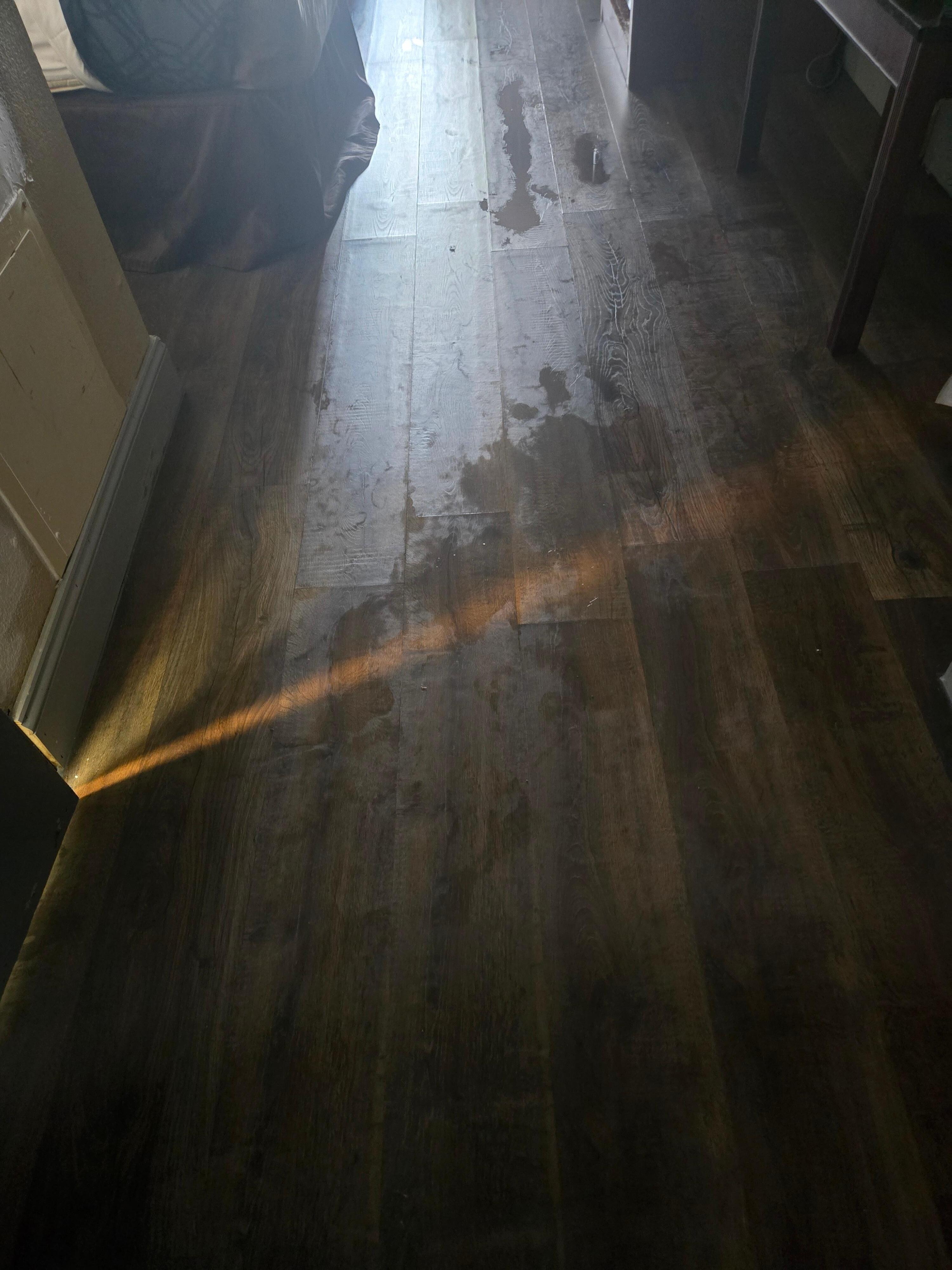 Water all the way to the front door and bathroom.