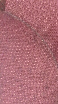 Floor carpet disgusting