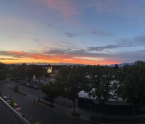 View from the patio/balcony