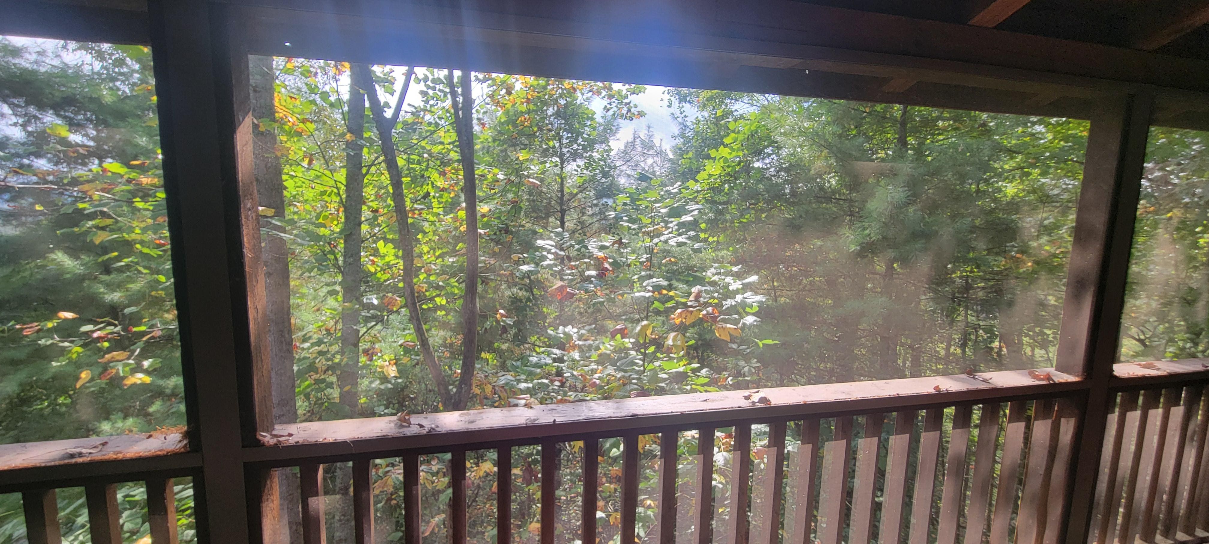View of "mountains from back deck"