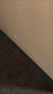 Walls stained and paint peeling off