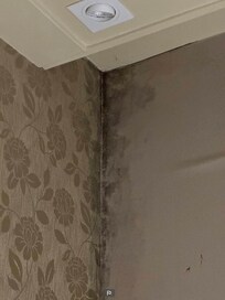 Serious damp problem