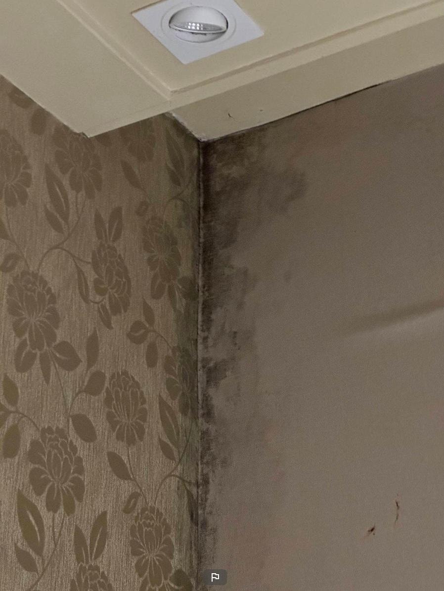 Serious damp problem