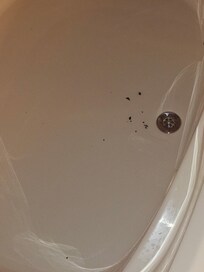 These are just some of the black chunks in the jetted tubs.