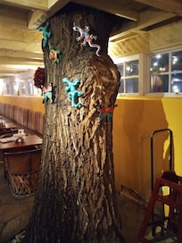 Living tree in lobby