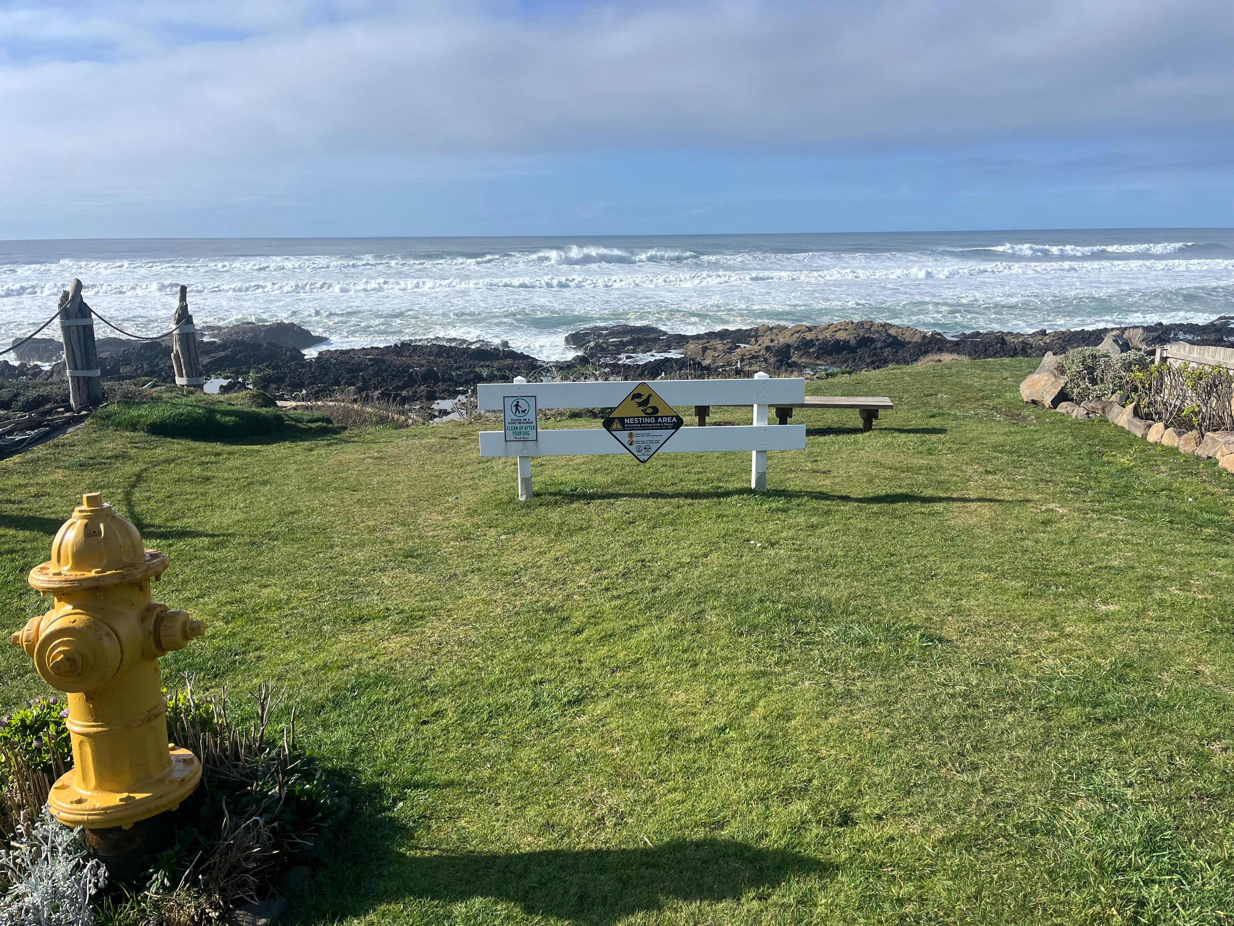 Lovely place to sit and view the breakers