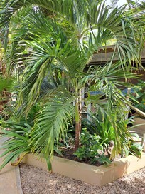 Well cared for vegitation