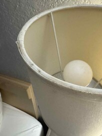 Saletés, poussières et moisissures