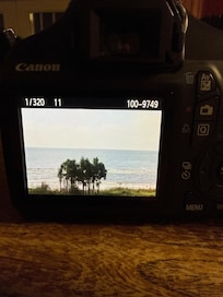 Photo from the back porch