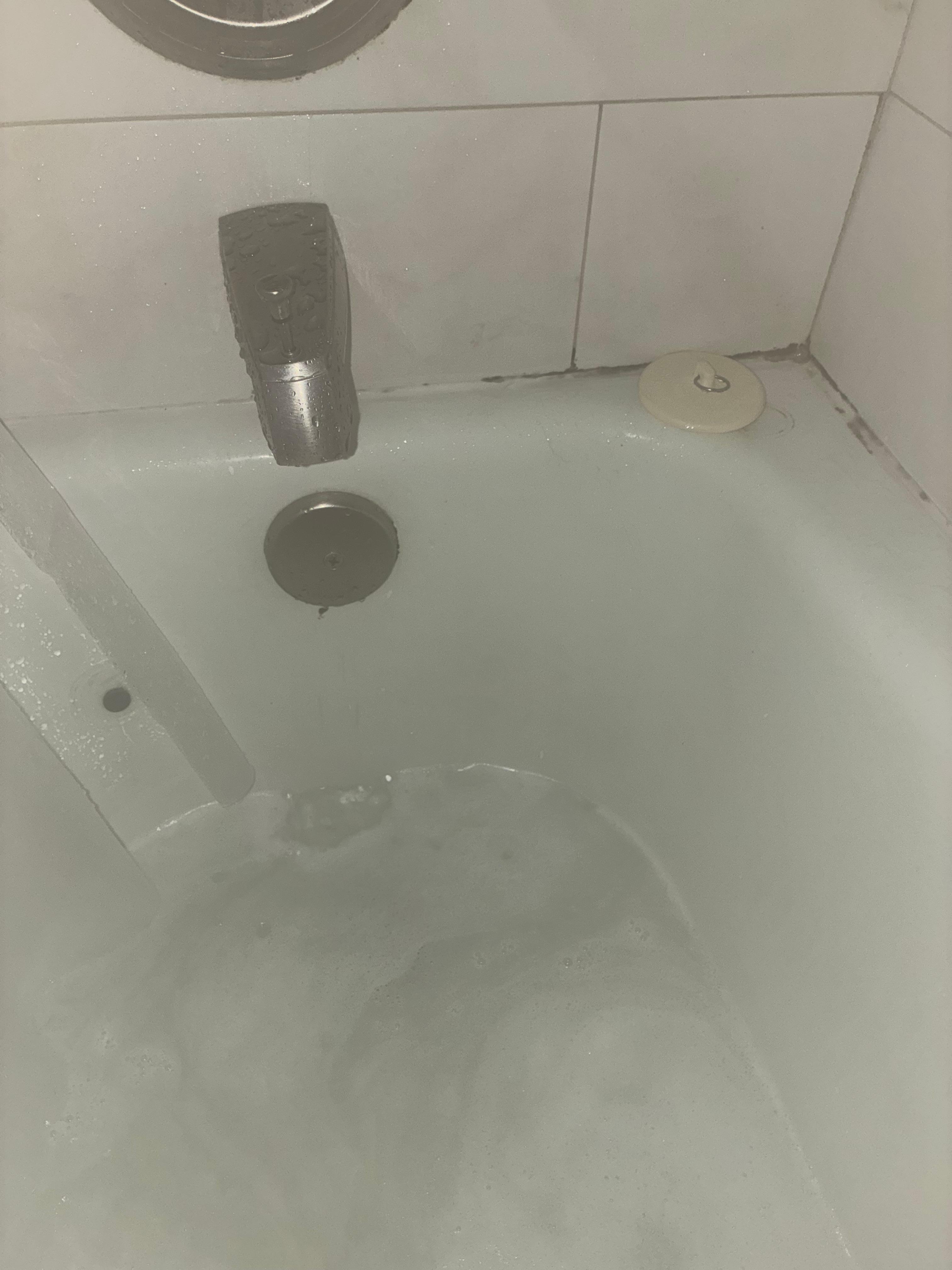 Restroom- water does not drain, mold 