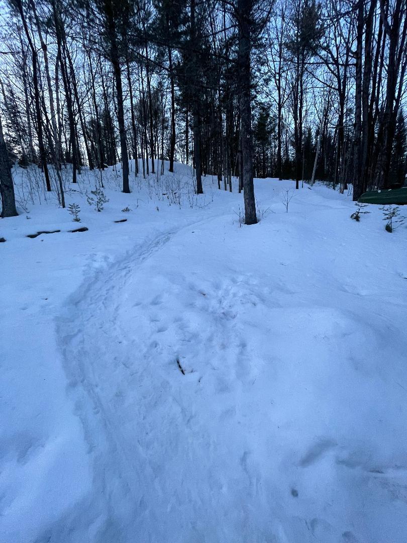 hill between cottage
and parking (about 150 feet to walk)