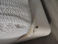 Stain on box spring
