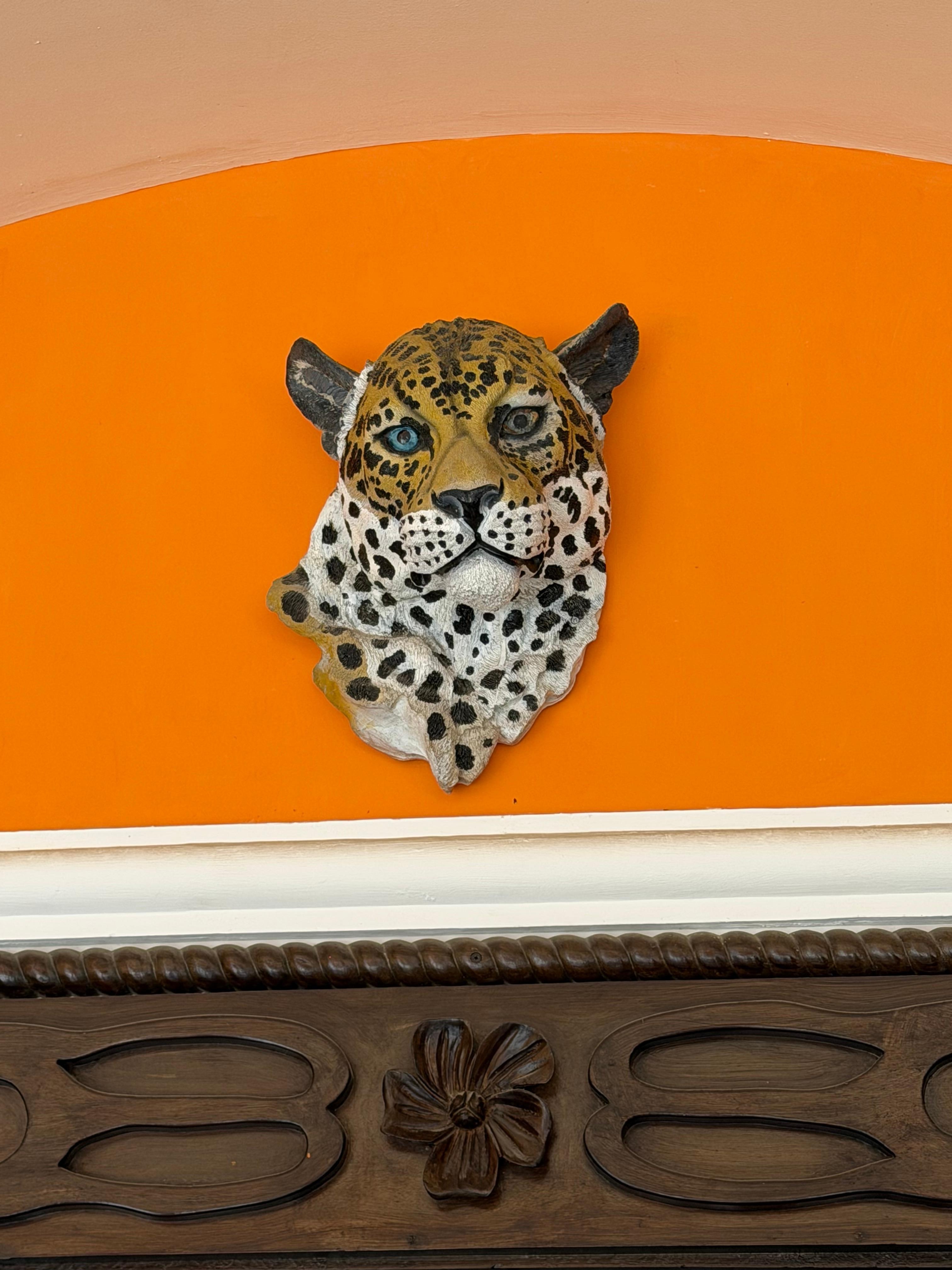 The Jaguar is a revered symbol in Mayan culture. This a beautiful little hotel. 