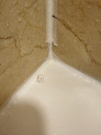 Pubic hair in shower