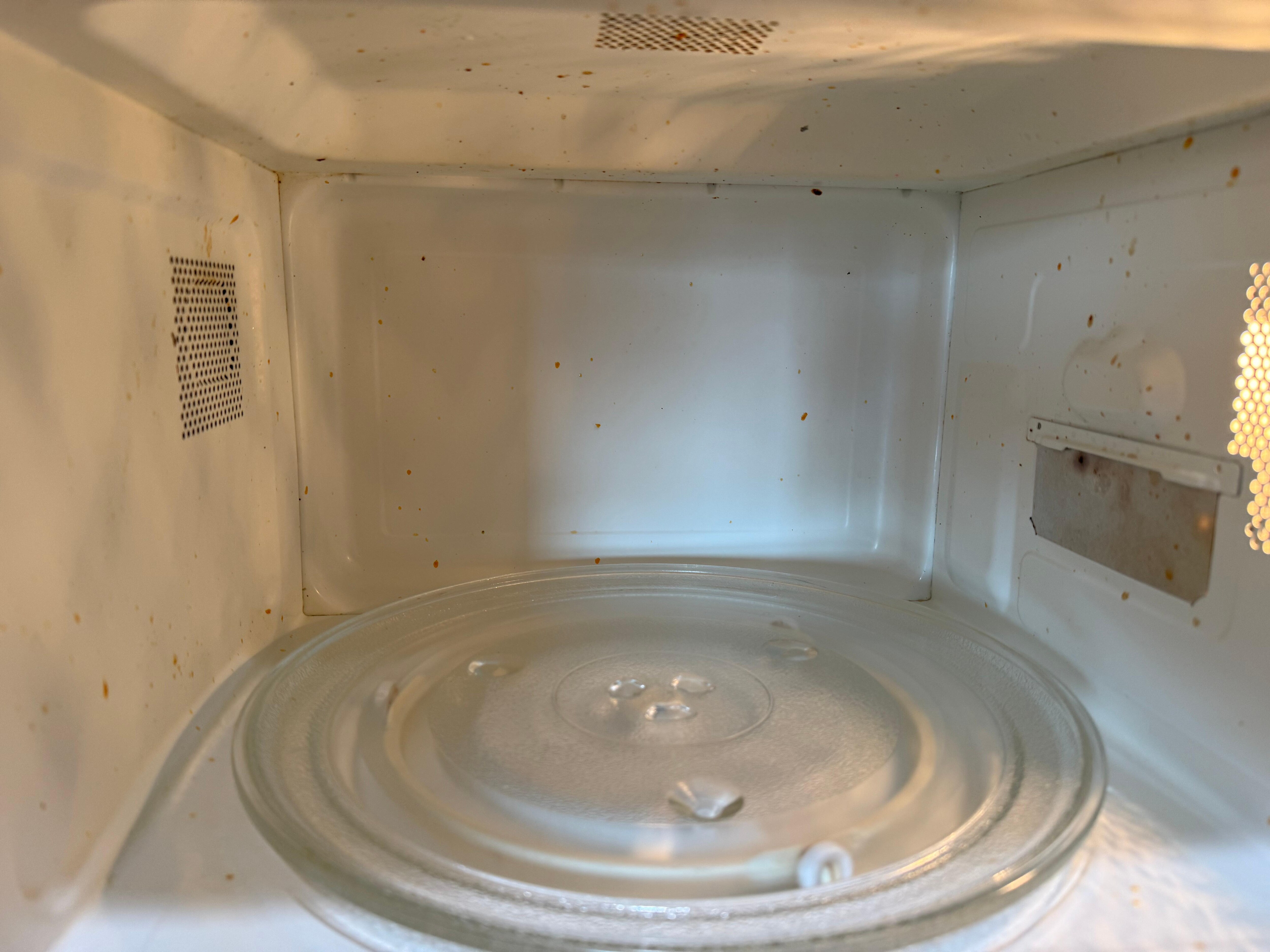 Very dirty microwave