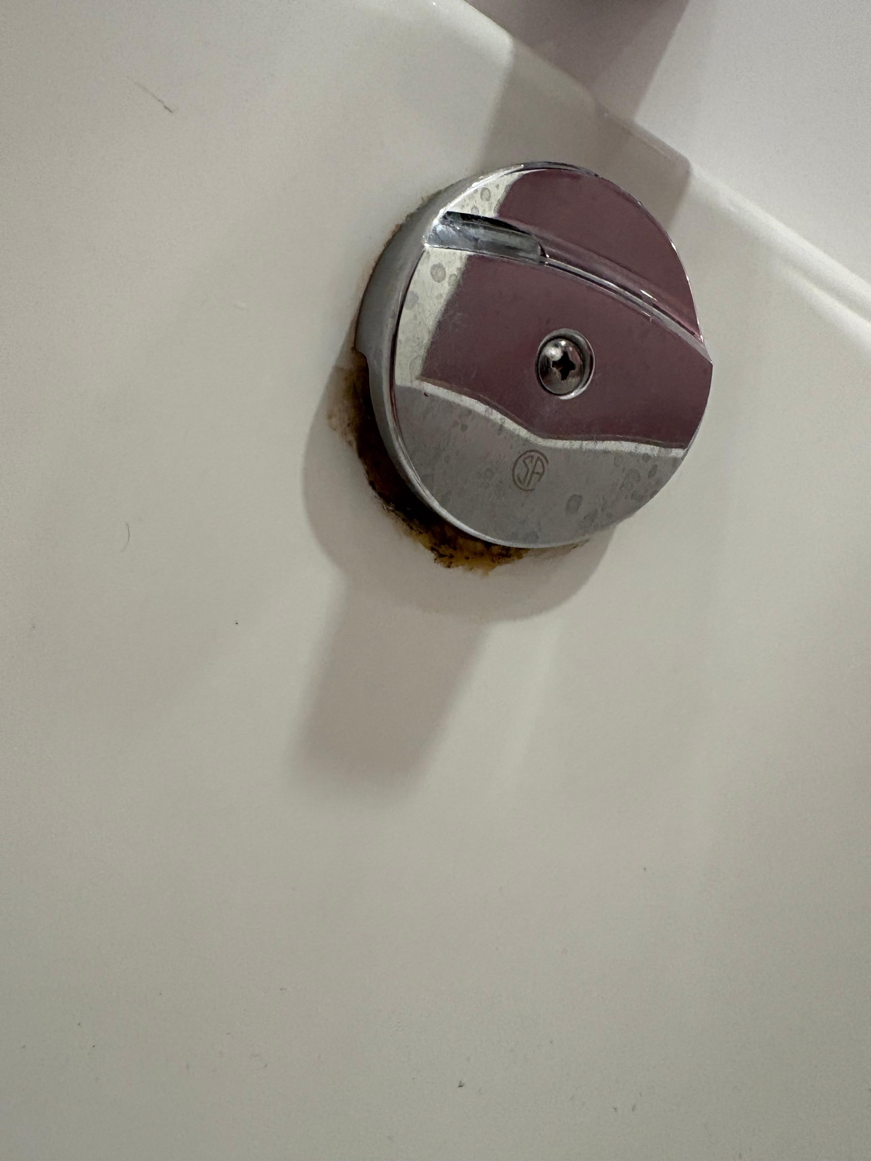 What is growing there??? 