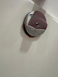 What is growing there???